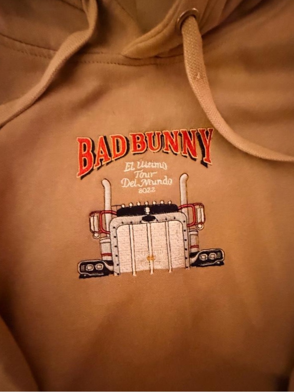 Bad bunny hoodie